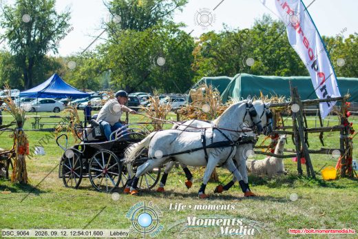 Mintakép 20260912-1908