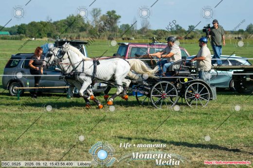 Mintakép 20260912-1992
