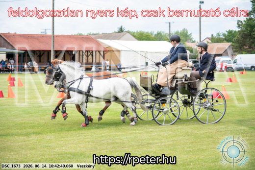 Mintakép 20260614-1032