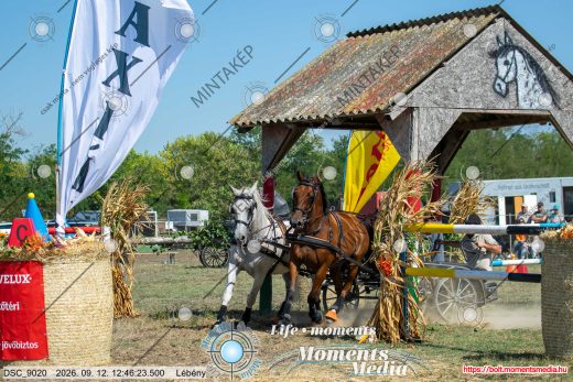 Mintakép 20260912-2009