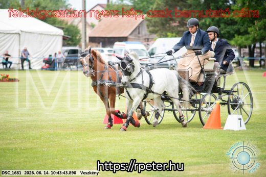 Mintakép 20260614-1038