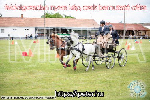 Mintakép 20260614-1040