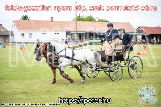 Mintakép 20260614-1041