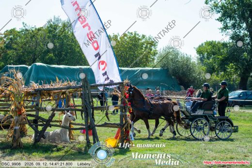 Mintakép 20260912-2163