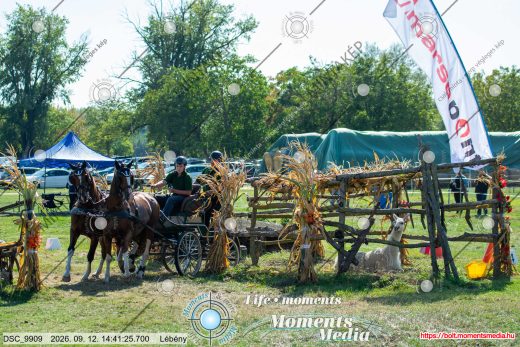 Mintakép 20260912-2164