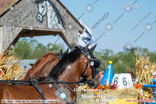 Mintakép 20260912-2174