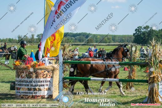 Mintakép 20260912-2175