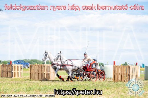 Mintakép 20260613-157