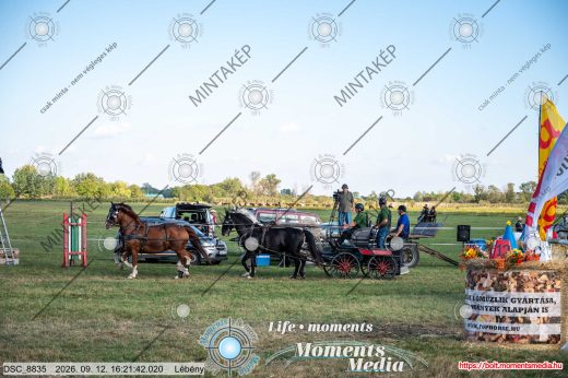 Mintakép 20260912-2181