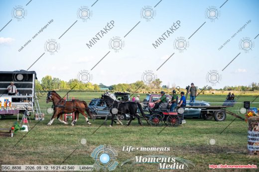 Mintakép 20260912-2182