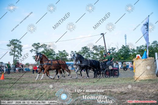 Mintakép 20260912-2183