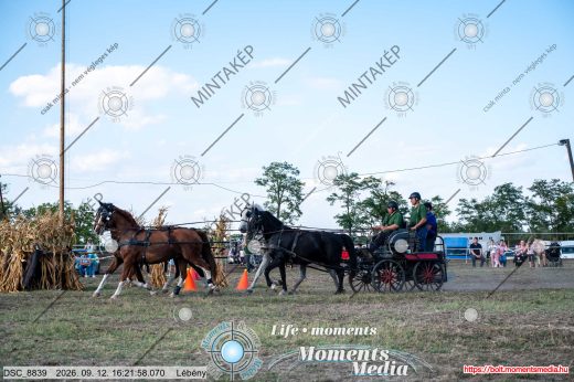 Mintakép 20260912-2184