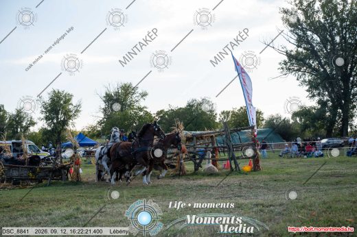 Mintakép 20260912-2185