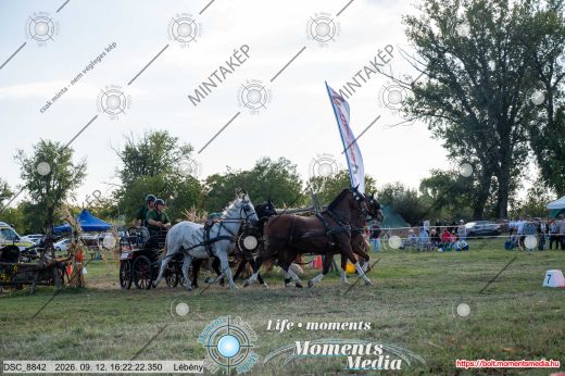 Mintakép 20260912-2186