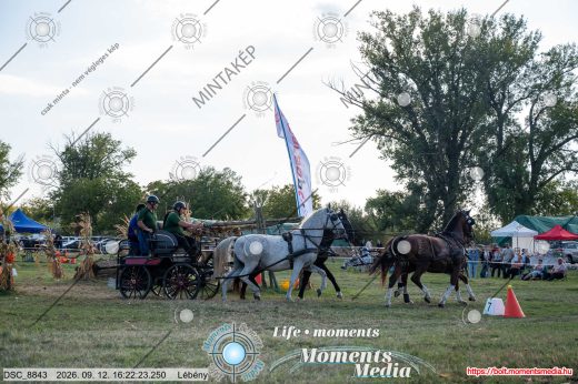 Mintakép 20260912-2187