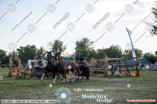 Mintakép 20260912-2189