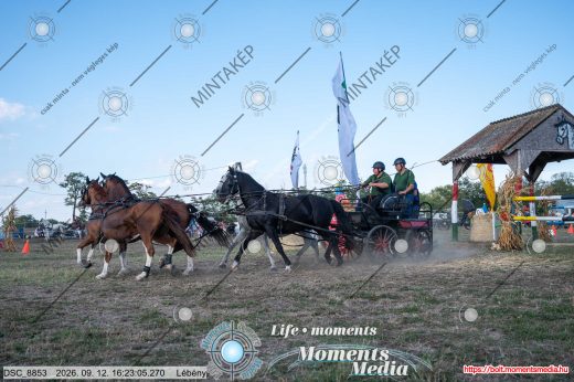 Mintakép 20260912-2192
