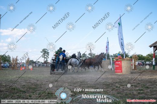Mintakép 20260912-2193