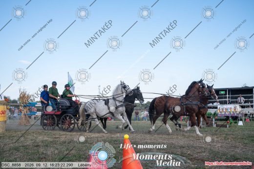 Mintakép 20260912-2195