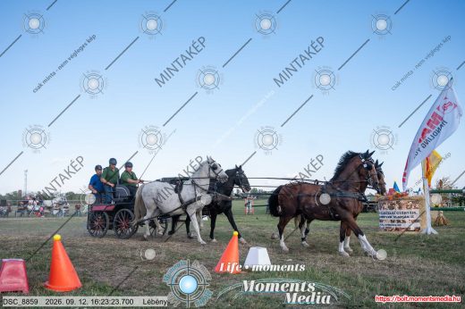 Mintakép 20260912-2196
