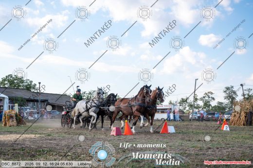 Mintakép 20260912-2206