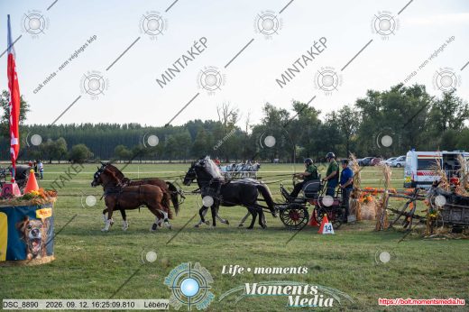 Mintakép 20260912-2219