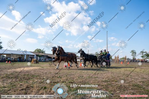 Mintakép 20260912-2226
