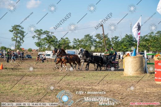 Mintakép 20260912-2230