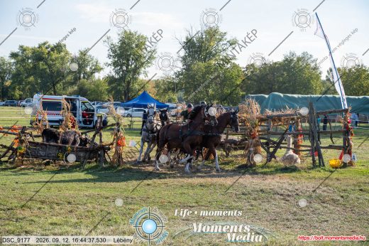 Mintakép 20260912-2232