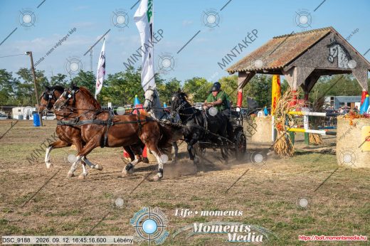 Mintakép 20260912-2238