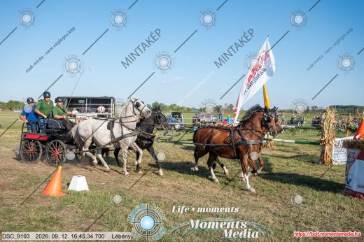 Mintakép 20260912-2243