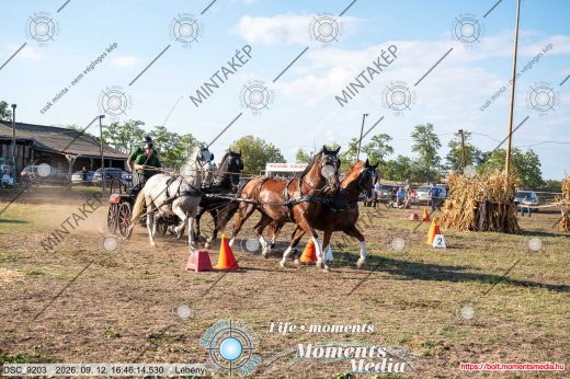 Mintakép 20260912-2249