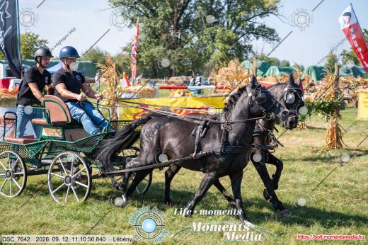 20260912-111056-DSC_7642.jpg