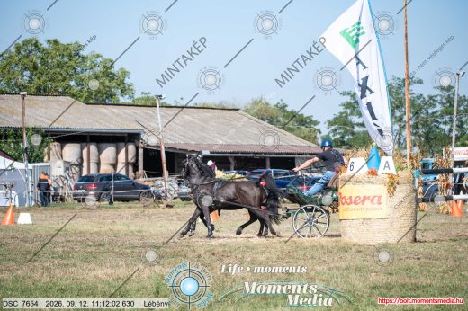Mintakép 20260912-2264