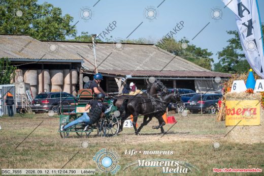 Mintakép 20260912-2265