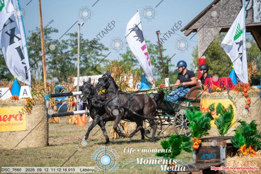 Mintakép 20260912-2268