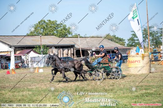 Mintakép 20260912-2270