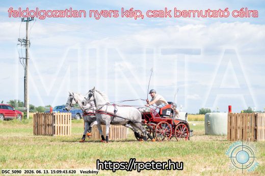 Mintakép 20260613-158