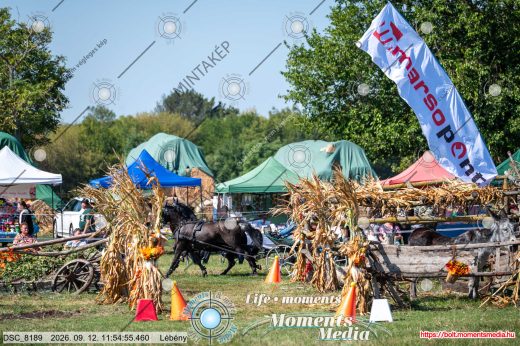 Mintakép 20260912-2295