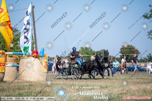 Mintakép 20260912-2298