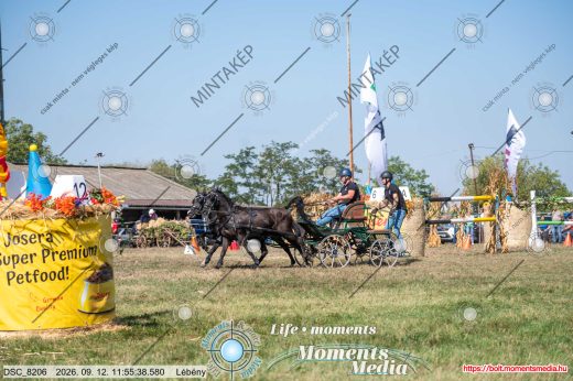 Mintakép 20260912-2308