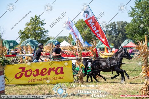 Mintakép 20260912-2312