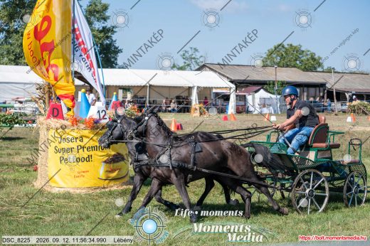 Mintakép 20260912-2315