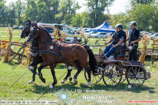 20260912-130101-DSC_9139.jpg