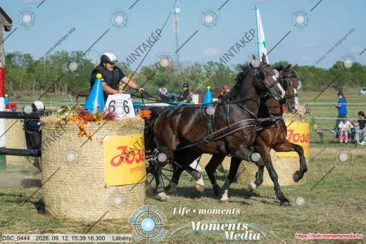 Mintakép 20260912-2376