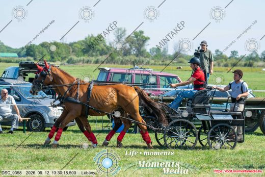 20260912-133018-DSC_9358.jpg