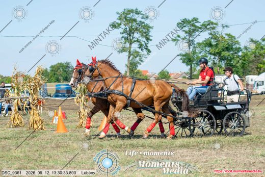 20260912-133033-DSC_9361.jpg