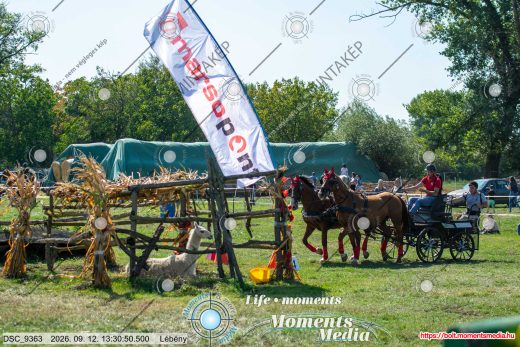 Mintakép 20260912-2393