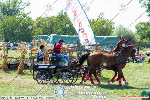 Mintakép 20260912-2394
