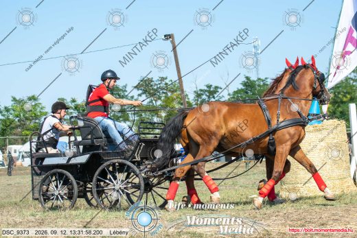 Mintakép 20260912-2396